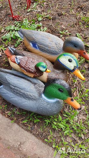 Подсадные утки