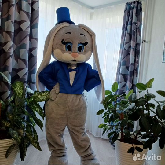 Поздравление от Зайки