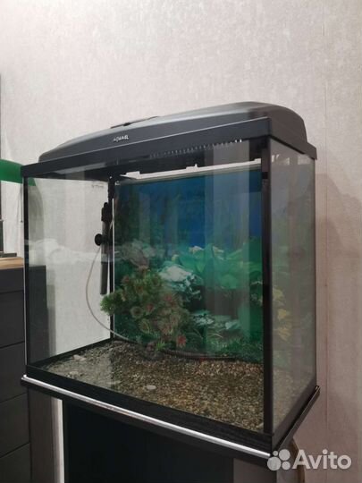 Аквариум Aquael 90л