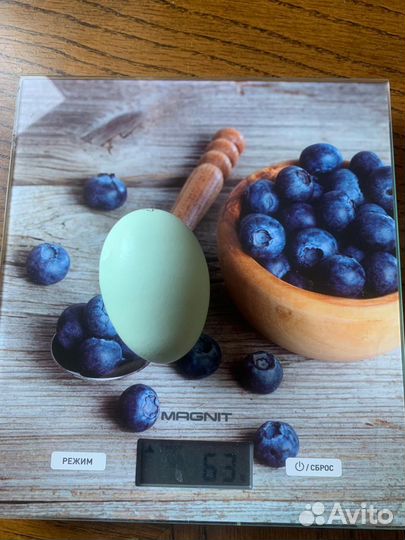 Продам ия лакеданзи, ухейилюй