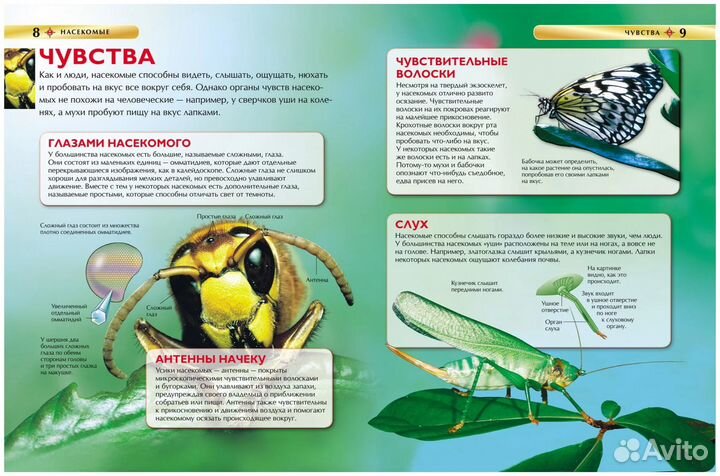 Книга 17334 Насекомые. Детская энциклопедия