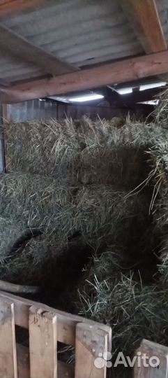 Продажа сена в тюках