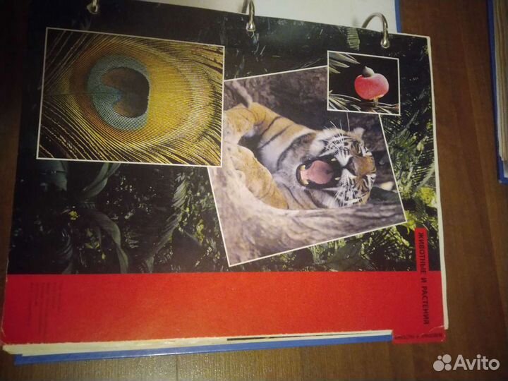 Энциклопедия 8 томов