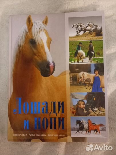 Книги про лошадей