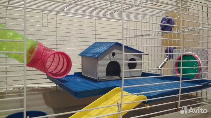 Клетки для джунгарских хомяков