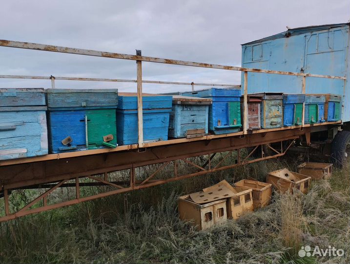 Улей для пчел