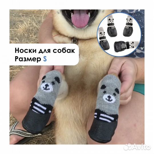 Носки для собак