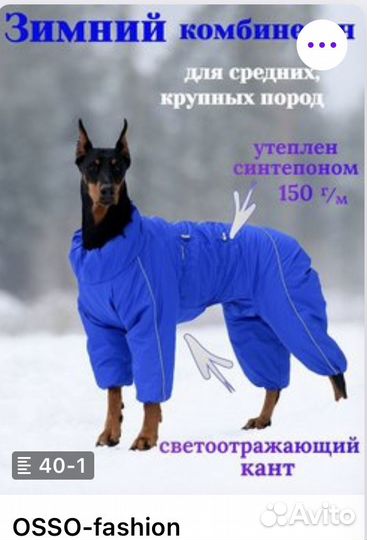 Комбинезон для собаки