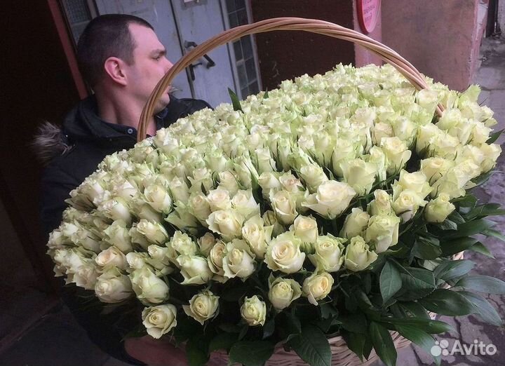 Розы Цветы Букеты 25 51 151 201 101 301 501 опт