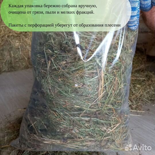 Сено луговое отборное для грызунов, кроликов и тд