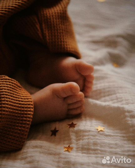 Семейный фотограф