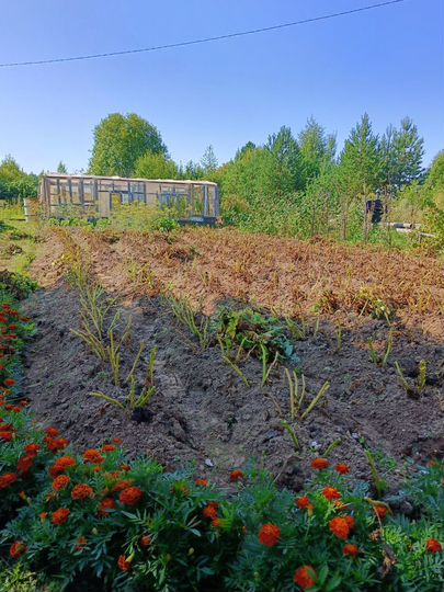 Участок 6 сот. (СНТ, ДНП)