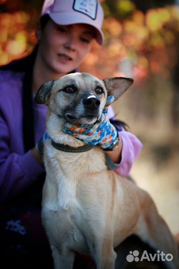 Милая Манечка