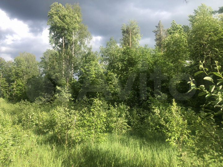 Участок 30 сот. (ИЖС)