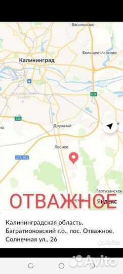 Нектарин саженцы
