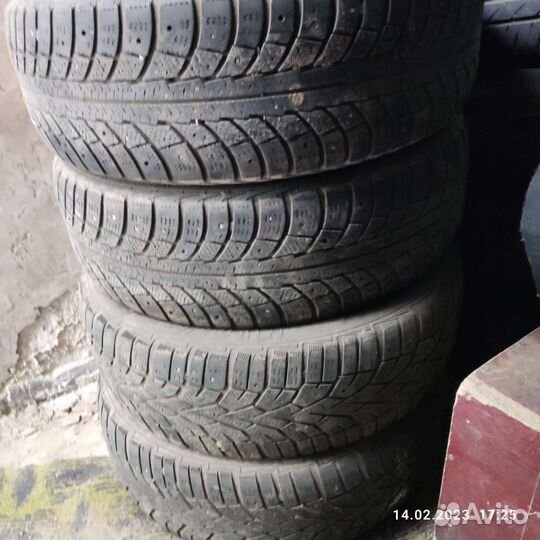Gislaved Nord Frost 5 185/65 R15 88T
