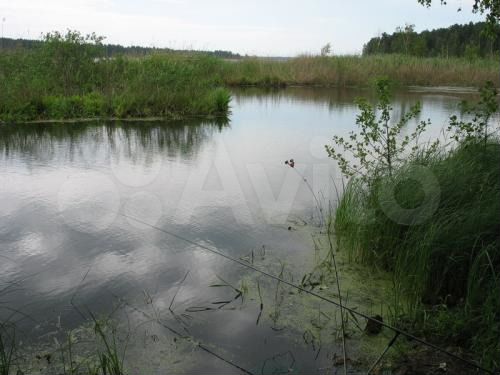 Участок 4,5 сот. (СНТ, ДНП)