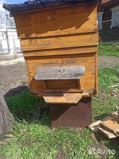 Улей для пчел бу