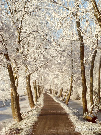 Цифровая мыльница Sony Cyber-shot DSC-W120 (2007)