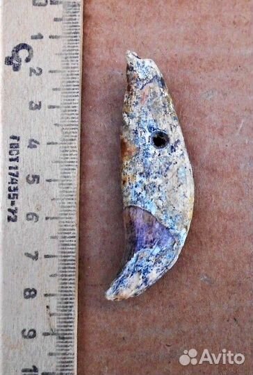 Амулет кость клык большой Домонгол