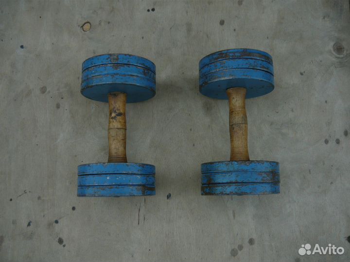 Гантели разборные СССР по 10 кг