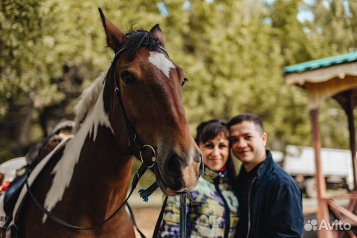 Конные прогулки Саратов