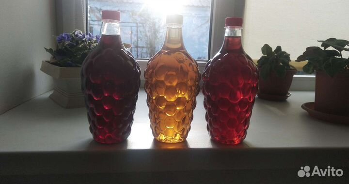 Саженцы винограда