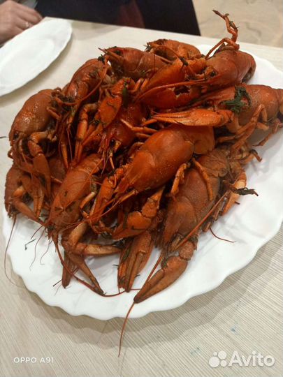 Живые раки
