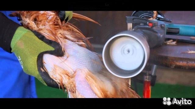 Устройство для ощипывания утки, курицы