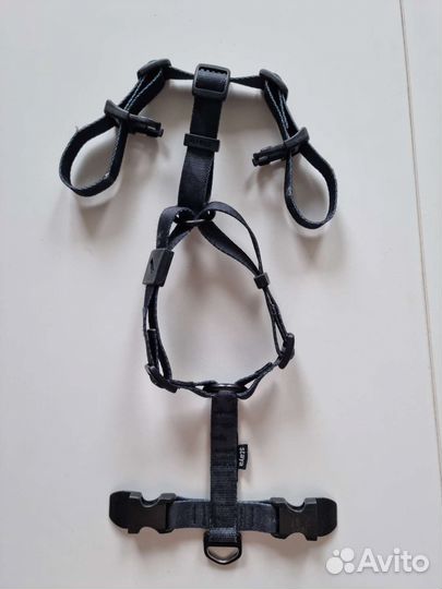 Шлейка для собаки Стая Staya