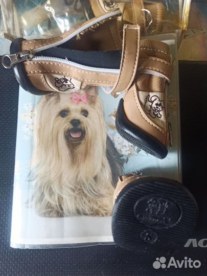 Обувь для маленьких собак