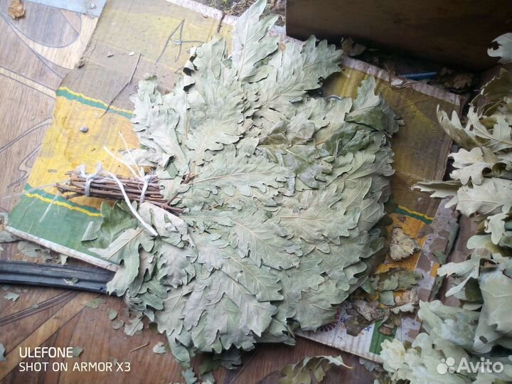 Дубовые веники