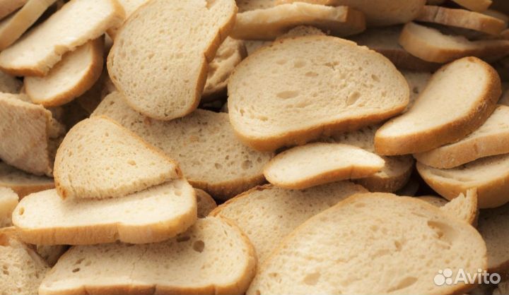 Корма для животных