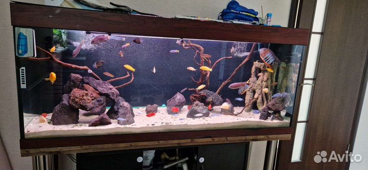 Аквариум с тумбой 400 литров
