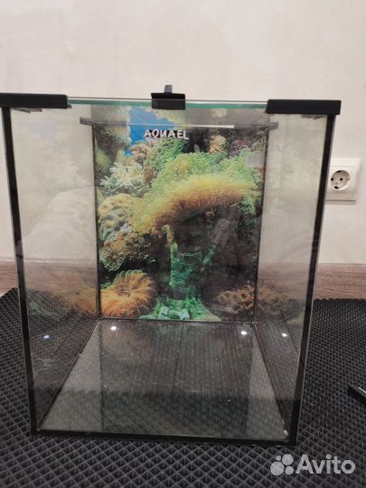 Аквариум для рыб