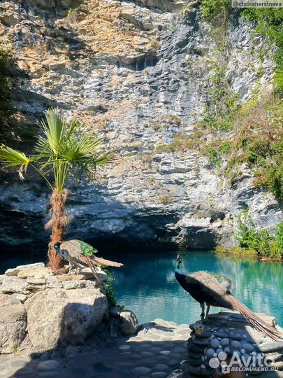 Экскурсия в Абхазию