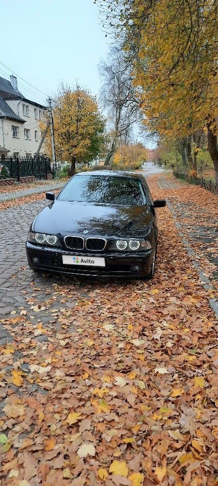 BMW 5 серия: фото владельца