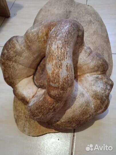 Продам кап берёзовый