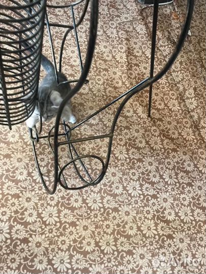 Гитара держатель для бутылок и дисков