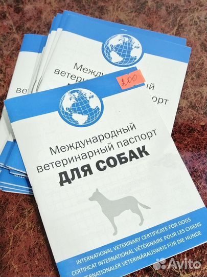 Международный паспорт для собак