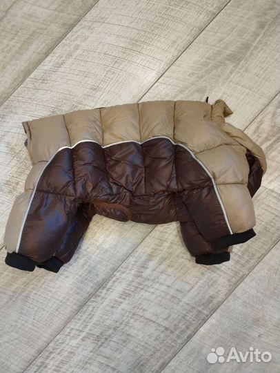 Одежда для собак