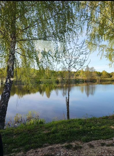 Участок 5,8 сот. (СНТ, ДНП)