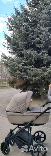 Коляска 2 в 1 adamex emilio