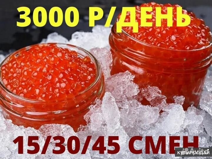 Фасовщик/ца красной икры вахта Москва