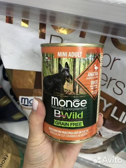 Корм для собак и кошек монж
