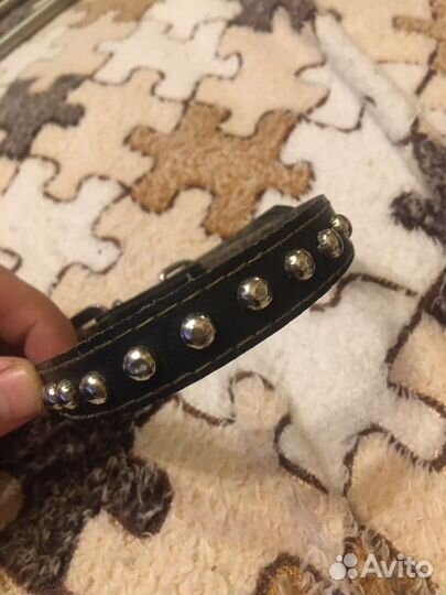 Ошейник повадок намордник