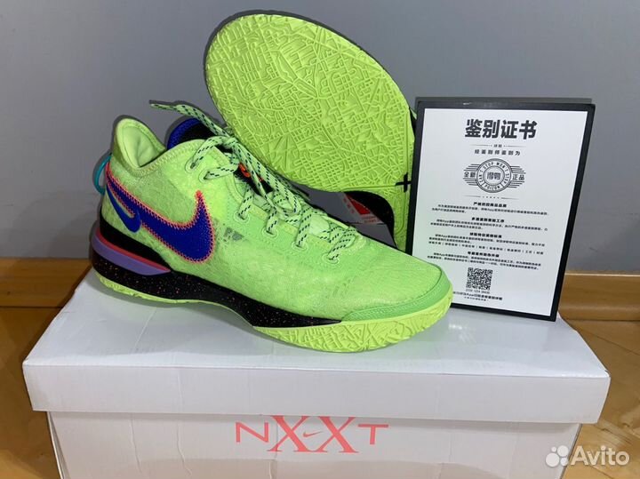 Nike LeBron 20 nxxt Gen кроссовки баскетбольные