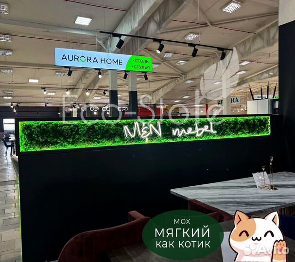 Лого из стабилизированного мха + подсветка