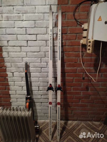 Беговые лыжи Fisher-Тиса