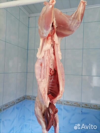 Мясо кролика